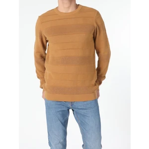 Regular Fit Yuvarlak Yaka  Erkek Sari Kazak