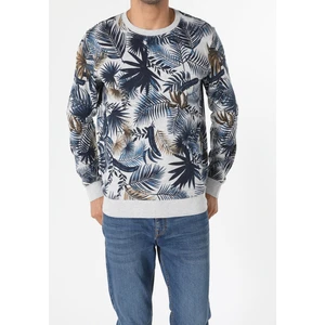 Regular Fit   Erkek Gri Sweatshirt