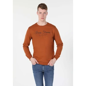 Regular Fit   Erkek Kahverengi Sweatshirt