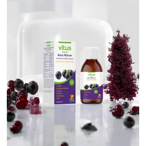 Vitus Pharma Immün Kara Mürver Propolis ve Beta Glukan Içeren Takviye Edici Gıda