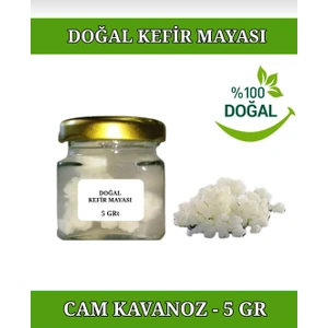 Doğal Kefir Mayası 5 gr Cam Kavanoz Canlı Kefir Taneleri % 100 DOĞAL.
