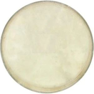7 İnç Bongo Derisi
