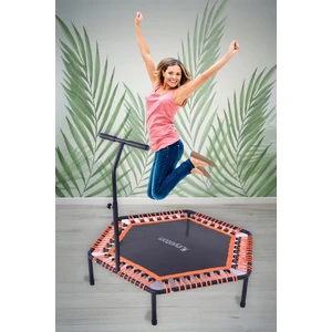 135 cm ''(54 Inç) Tutunmalı Step Trambolin