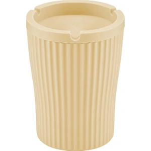 Plastik Ixora Oto Küllük