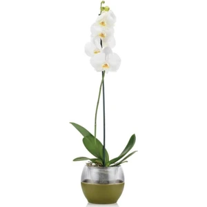 PetGrow Plastik Buule Orkide Saksı