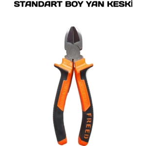 Standart Boy Yan Keski