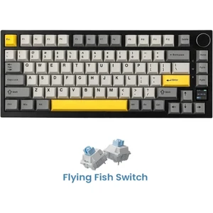 AK820 Pro Mekanik Oyun Klavyesi 3 Modlu Tft Renkli Ekran, Gasket Yapı Hot Swap Rgb