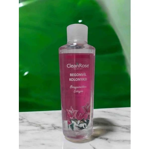Clean Rose Begonvil Kolonyası