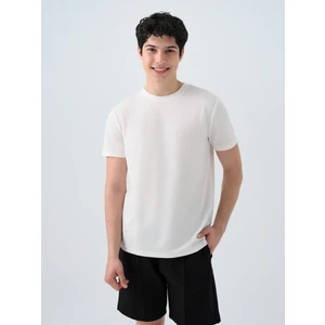 Regular Fit Erkek Tshirt K.kol