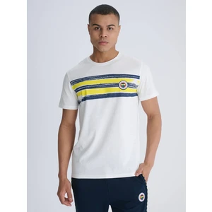 Erkek Trıbun Brush Şeritli Tshırt