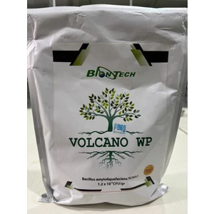 Bitkiler Için Organik  Volcano Wp