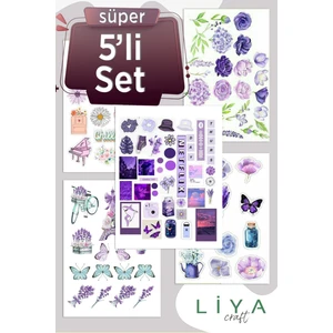 5'li Mor Temalı Sticker Set