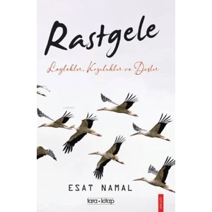 Rastgele; Leylekler, Kozalaklar ve Düşler