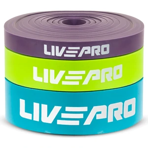 LP8410-1 3 lü Direnç Lastiği