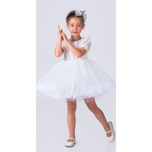 Perinin Dolabı Balerin Model Pullu Kız Çocuk Elbise