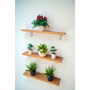 Green Life Design Metal Ayaklı Çok Amaçlı Duvar Rafı 3 Lü Set Duvar Rafı Çiçeklik Sukulent Rafı