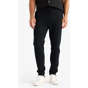 Regular Fit Normal Kesim Yazlık Jogger Pantolon Dokuma Cepli D6260AX25SP