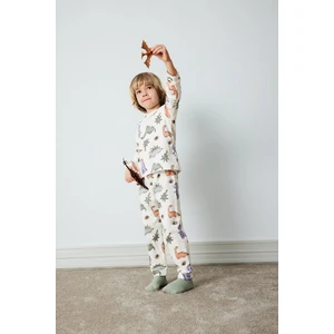Erkek Bebek Pijama Takımı Dinazor Baskılı Uzun Kollu Üst Beli Lastikli Uzun Alt D9070A525SP