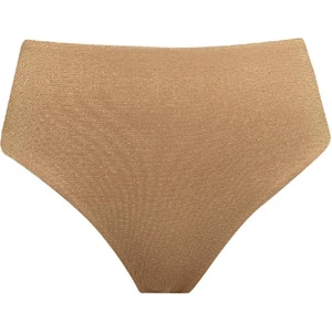 Regular Fit Parlak Kumaş Yüksek Bel Bikini Altı-Fall in Love C3180AX24SM