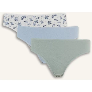 Ribana 3'lü Brief Külot-Fall in Love D6397AX25SP