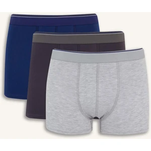 Regular Fit 3'lü Boxer E3234AX25SP