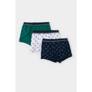 Erkek Çocuk Desenli 3'lü Boxer E3254A825SP