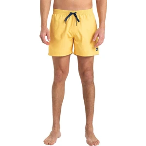 Everyday Solid Volley 15 Erkek Şort EQYJV04120