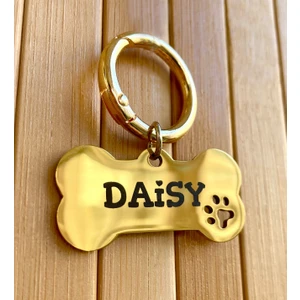 Loren Gift Isme Özel Çelik Kedi Köpek Isimlik Künyesi Gold