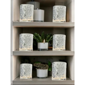 Su Bardağı, Meşrubat Bardağı