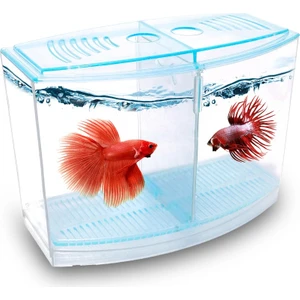 Betalık 9X19X14CM 1800 ml Beta Tank