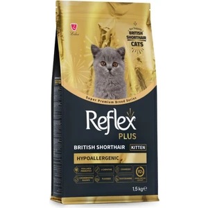 Plus British Shorthair Yavru Kedi Mamasi 1.5 kg