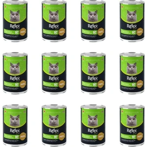 Plus Pate Içinde Et Parçacıklı Hindi ve Ördek Etli Yetişkin Kedi Konservesi 395 gr (12 Adet)