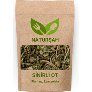 Sinirli Ot (Plantago Lanceolata) 1 kg