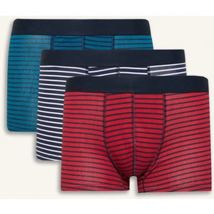Regular Fit 3'lü Boxer E1120AX25SP