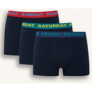 Regular Fit 3'lü Boxer D9873AX25SP