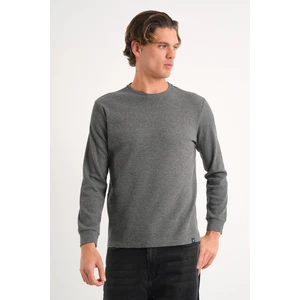 Alexandergardı Uzun Kollu Bisiklet Yaka Basic Sweatshirt