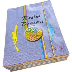 Lastikli Karton Resim Dosyası 24'lü
