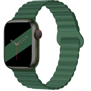Digizone Apple Watch Series 2/3/4/5/6/7/8/9/se 38MM 40MM 41MM Uyumlu Mıkantıslı Silikon Kordon