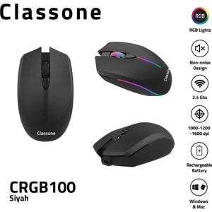 CRGB100 2.4 Ghz Kablosuz Mouse - Siyah-