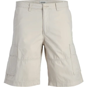 Jack & Jones Jpstcole Mateo  Erkek Şort 12274389