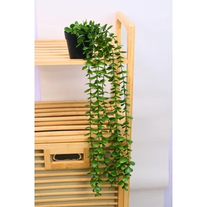 Dekoratif Saksılı 7’li Yapay Sarkıt Bitki Siyah 40 cm  EVA-5846 C1-1-423