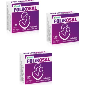 Folik Asit 400 Mcg 120 Tablet 3 Kutu