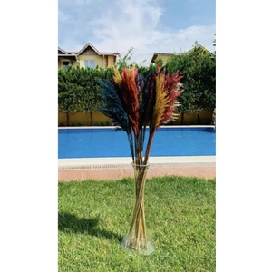 Karışık Pampas
