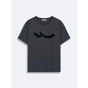 LTB Erkek Kısa Kollu Sıfır Yaka Sıgn Baskılı Regular Antrasit T-shırt