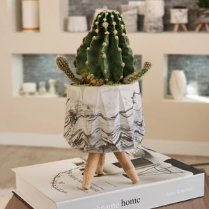 El Yapımı Ahşap Ayaklı Antrasit Desenli Beyaz Beton Saksı - Minimalist Dekoratif Saksı