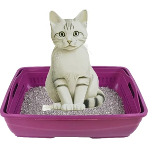 Açık Süzeçli Elekli Kedi Tuvaleti 37X49X17 cm