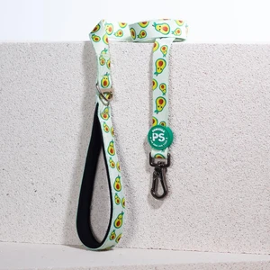 Avocado Köpek Gezdirme Kayışı 120 cm x 2 cm