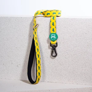 Cactus Köpek Gezdirme Kayışı 120 cm x 2 cm