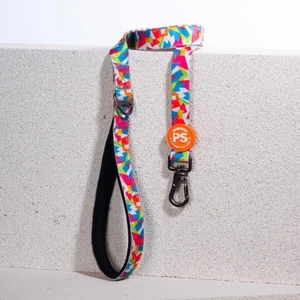 Mosaic Köpek Gezdirme Kayışı 120 cm x 2 cm