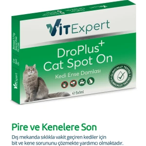 Kedi Ense Damla